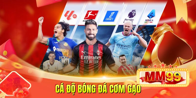 Cá Độ Bóng Đá Cơm Gạo Chia Sẻ Phương Pháp Đầu Tư An Toàn