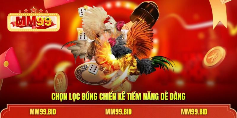 Chọn lọc đúng chiến kê tiềm năng dễ dàng