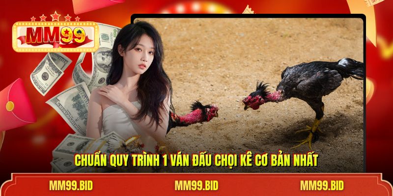 Chuẩn quy trình 1 ván đấu chọi kê cơ bản nhất