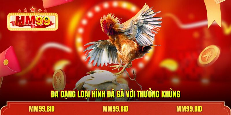 Đa dạng loại hình đá gà với thưởng khủng