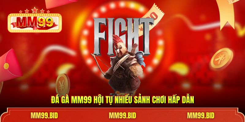 Đá gà MM99 hội tụ nhiều sảnh chơi hấp dẫn