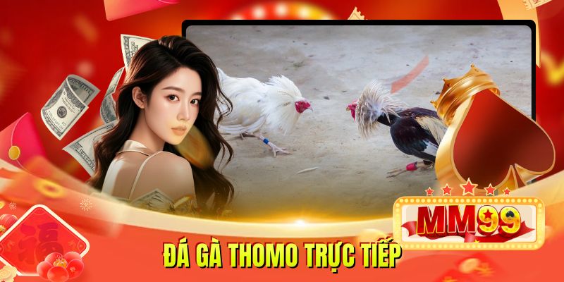 Đá Gà Thomo Trực Tiếp Cung Cấp Đường Truyền Rất Sắc Nét