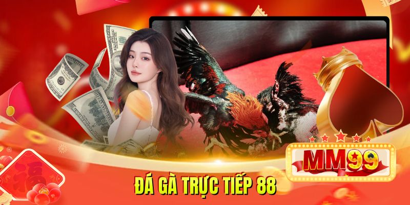 Đá Gà Trực Tiếp 88 Mang Lại Phút Giây Giải Trí Kịch Tính