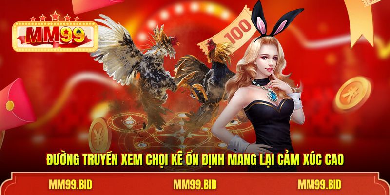 Đường truyền xem chọi kê ổn định mang lại cảm xúc cao