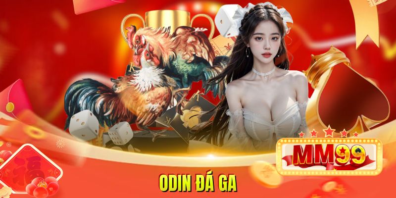 Odin Đá Gà Nền Tảng Giải Trí Bắt Nhịp Cảm Xúc Người Chơi