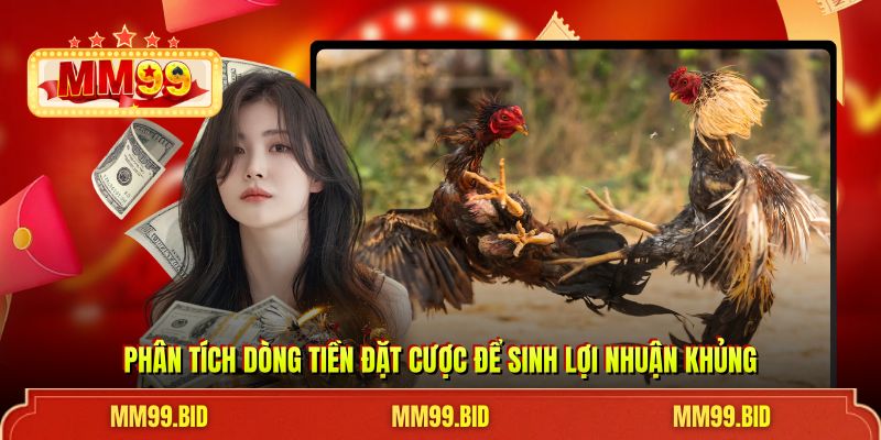 Phân tích dòng tiền đặt cược để sinh lợi nhuận khủng