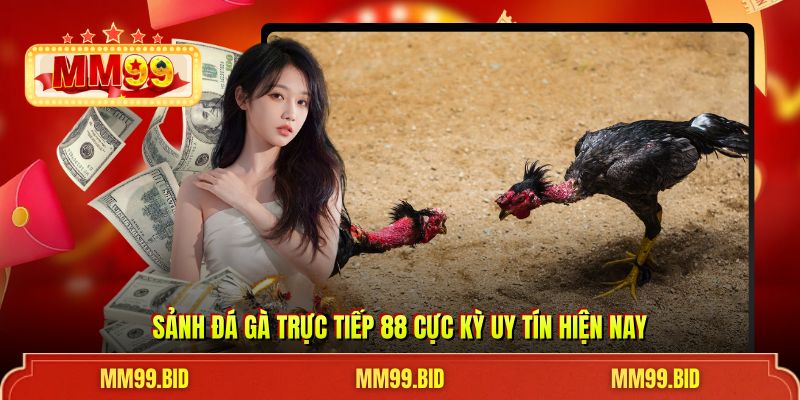 Sảnh đá gà trực tiếp 88 cực kỳ uy tín hiện nay
