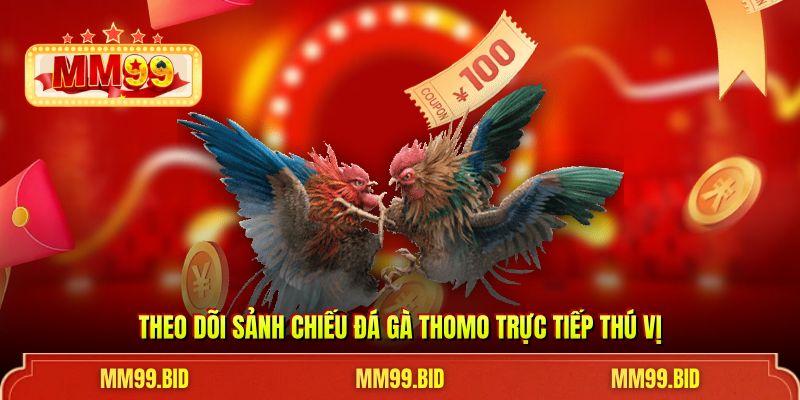 Theo dõi sảnh chiếu đá gà thomo trực tiếp thú vị