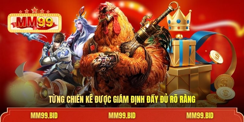 Từng chiến kê được giám định đầy đủ rõ ràng