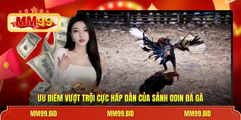 Ưu điểm vượt trội cực hấp dẫn của sảnh odin đá gà